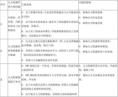 实施精细化人力资源管理 目标与措施方案